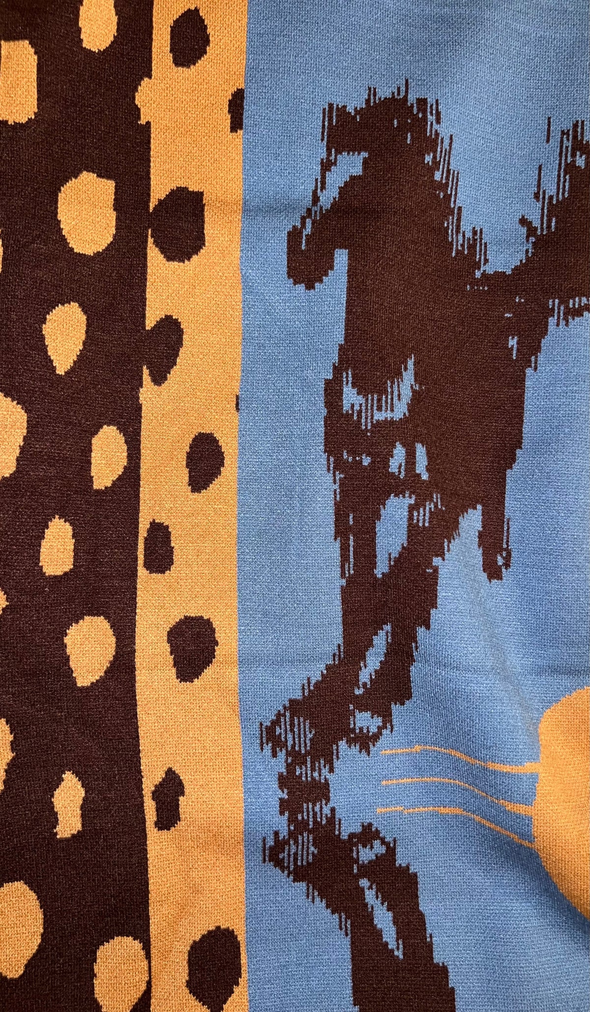 Horses blue shawl