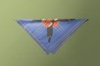 Blue Parrot - Satin Scarf